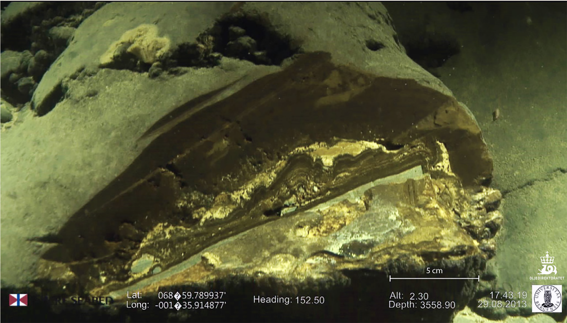 Figure 8.1 Manganese crust in the Norwegian Sea.