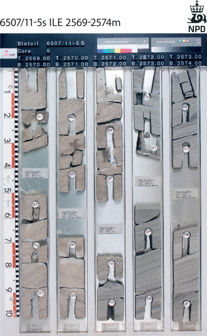 Fig-5-029.jpg