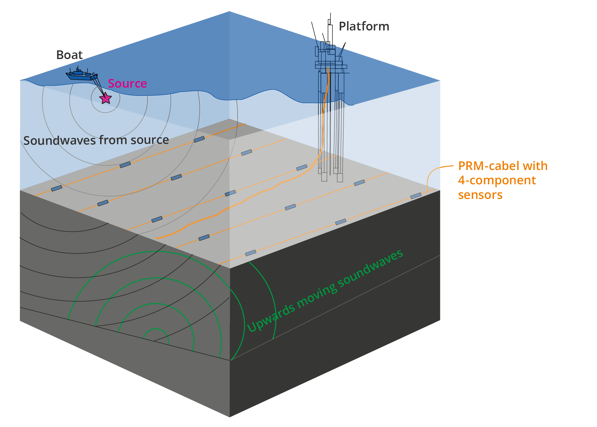 Sketch of the permanent reservoir monitoring setup