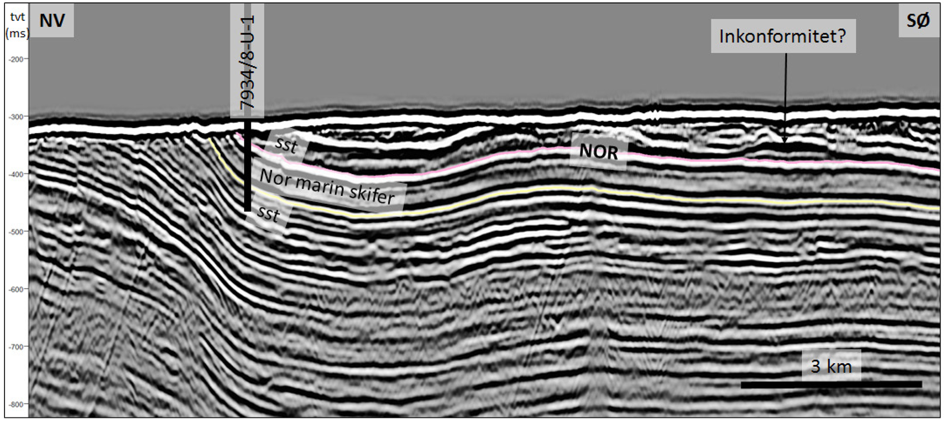 Figur 20. Borehull 7934/8-U-1 er boret gjennom sedimenter av sentrias alder, og dateringene viser en nor marin skifer (Flatsalenformasjonen). Overliggende og underliggende sandsteiner (sst) er ikke datert.