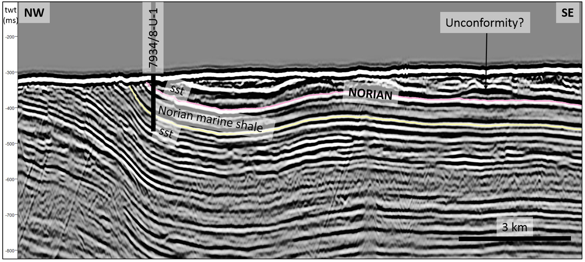 Figure 20. Well 7934/8-U-1 has been drilled through Late Triassic sediments, and dating shows a Norian marine shale (Flatsalen Formation). The overlying and underlying sandstones (sst) are undated.