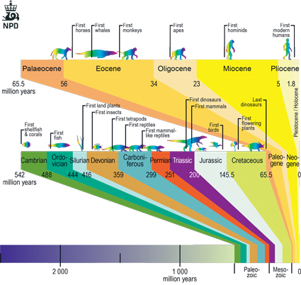 Fig-4-004.jpg