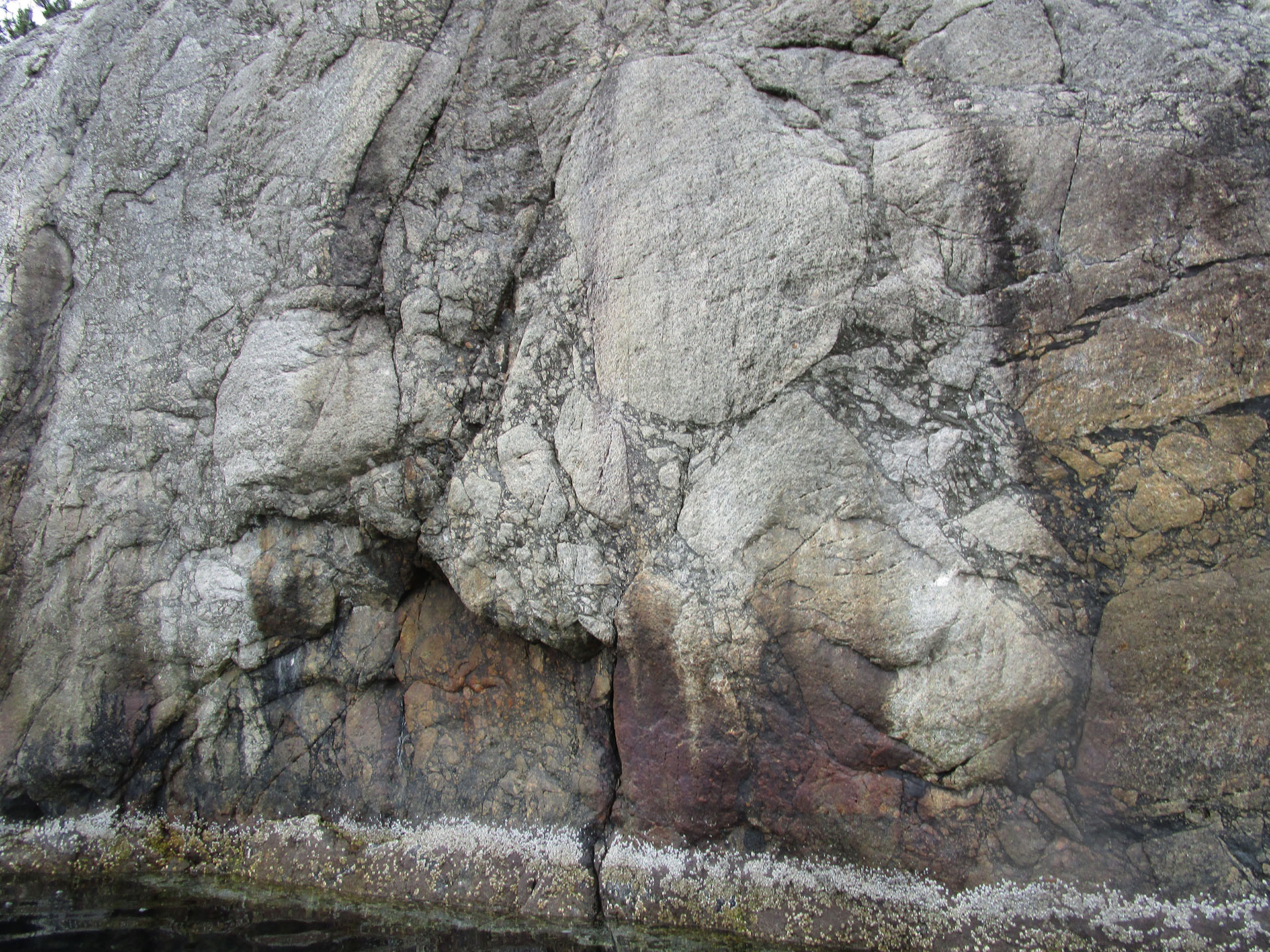 Breksjerte granittiske bergarter. Foto: Fridtjof Riis
